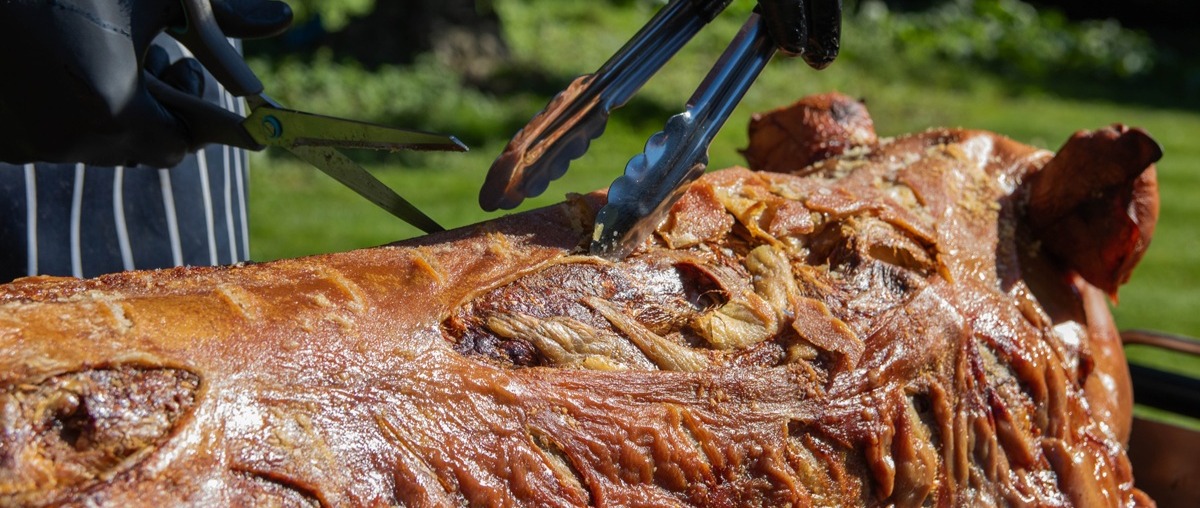 Hog Roast Caterer