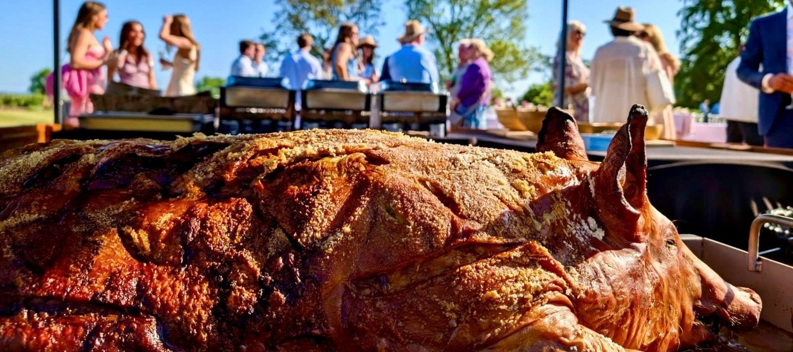 Hog Roast Caterer